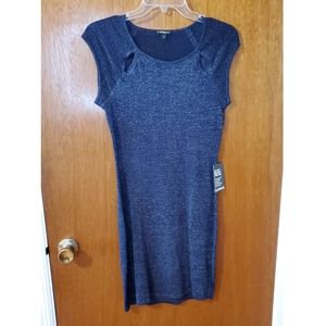 Fitted Sweater Dress - NWT